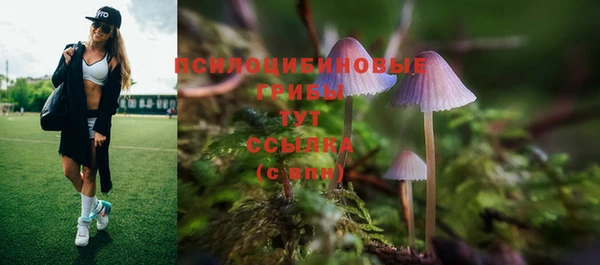 круглые Бородино