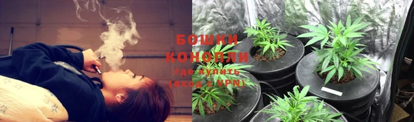 крисы Бугульма