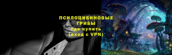 крисы Бугульма