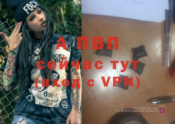 крисы Бугульма