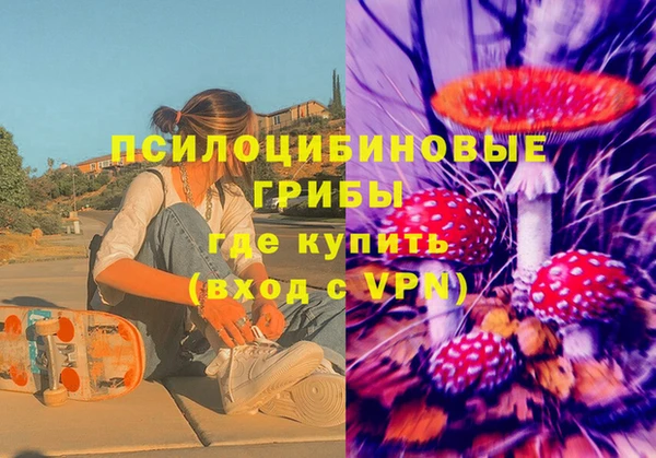 крисы Бугульма