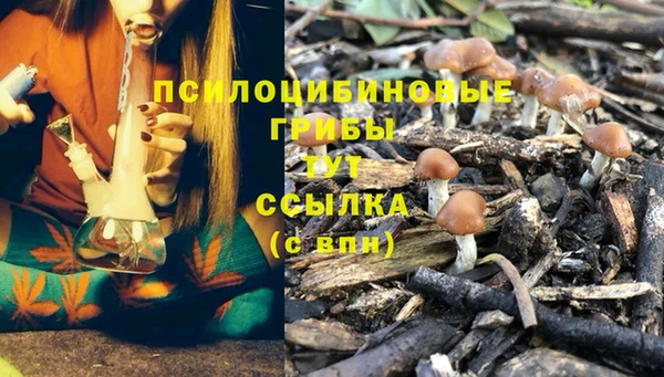 твердый Бронницы