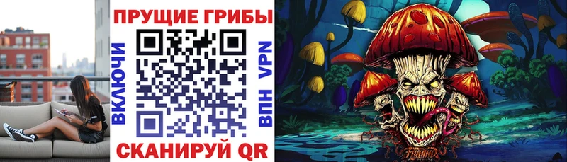 Купить где  Пикалёво  Галлюциногенные грибы Magic Shrooms 